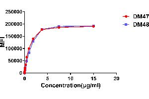 Affinity ranking of different Rabbit anti-ACE2 mAb clones by titration of different concentration onto Expi 293 cell line transfected with human ACE2. (Recombinant ACE2 抗体  (AA 18-740))
