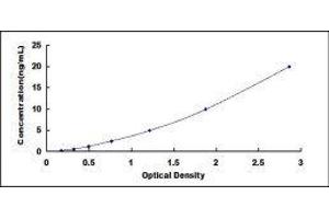 Filamin C, gamma (FLNC) ELISA Kit