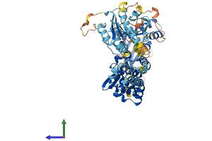 Protein Structure (PS) image for rho-Related BTB Domain Containing 3 (RHOBTB3) (AA 1-611) protein (His tag) (ABIN7560641)