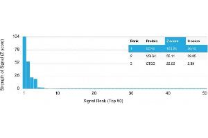 Analysis of Protein Array containing more than 19,000 full-length human proteins using CD14 Mouse Monoclonal Antibody (LPSR/2397) Z- and S- Score: The Z-score represents the strength of a signal that a monoclonal antibody (MAb) (in combination with a fluorescently-tagged anti-IgG secondary antibody) produces when binding to a particular protein on the HuProtTM array. (CD14 抗体  (AA 25-148))