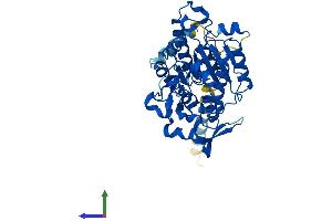 Protein Structure (PS) image for Glucosaminyl (N-Acetyl) Transferase 2, I-Branching Enzyme (I Blood Group) (GCNT2) (AA 1-401) protein (His tag) (ABIN7556801)
