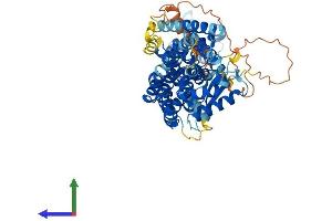 Protein Structure (PS) image for Tubulin, gamma Complex Associated Protein 4 (TUBGCP4) (AA 1-667) protein (His tag) (ABIN7560988)