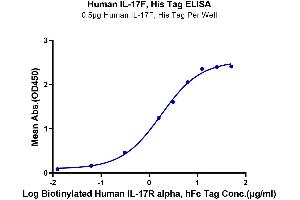 Immobilized Human IL-17F, His Tag at 5 μg/mL (100 μL/well) on the plate.