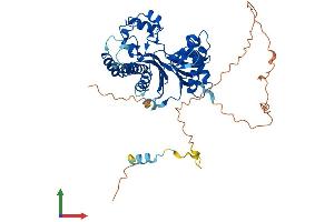 AlphaFold protein structure predicition of Human Recombinant TAB1 Protein, UniprotID Q15750