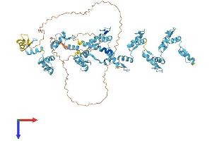 AlphaFold protein structure predicition of Human Recombinant ZNF761 Protein, UniprotID Q86XN6