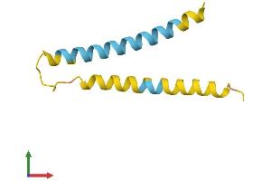 Protein Structure (PS) image for Neuronatin (NNAT) (AA 1-81) protein (Fc Tag) (ABIN7557749)