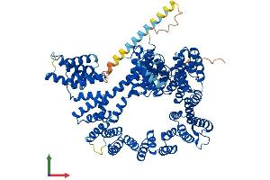 Protein Structure (PS) image for N(alpha)-Acetyltransferase 15, NatA Auxiliary Subunit (NAA15) (AA 1-865) protein (His tag) (ABIN7564261)