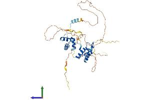 AlphaFold protein structure predicition of Human Recombinant PAX5 Protein, UniprotID Q02548