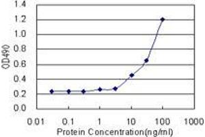 Sandwich ELISA detection sensitivity ranging from 3 ng/mL to 100 ng/mL. (LZTFL1 (人) Matched Antibody Pair)