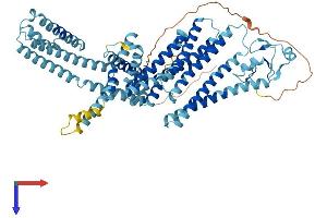 Ring Finger Protein 145 (RNF145) (AA 1-663) protein (His tag)