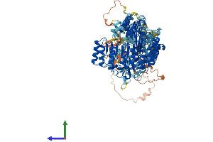 Protein Structure (PS) image for NLR Family, Pyrin Domain Containing 3 (NLRP3) (AA 1-1033) protein (His tag) (ABIN7564709)