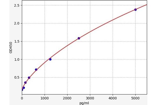 ADRB1 ELISA 试剂盒