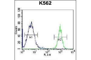 Flow cytometric analysis of K562 cells (right histogram) compared to a negative control cell (left histogram). (Parathymosin 抗体  (C-Term))
