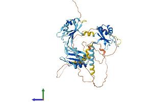 Protein Structure (PS) image for CUGBP, Elav-Like Family Member 1 (CELF1) (AA 1-486) protein (His tag) (ABIN7563057)