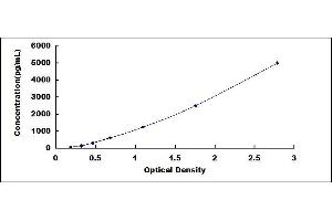 Typical standard curve (Neurotrophin 3 ELISA 试剂盒)