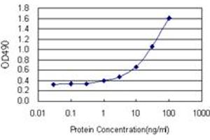 Sandwich ELISA detection sensitivity ranging from 1 ng/mL to 100 ng/mL. (TCF7 (人) Matched Antibody Pair)