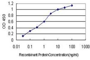 Detection limit for recombinant GST tagged FHIT is approximately 0. (FHIT 抗体  (AA 31-130))