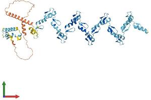 Protein Structure (PS) image for Zinc Finger Protein 93 (ZNF93) (AA 1-620) protein (His tag) (ABIN7556088)
