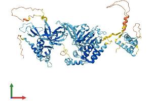 Protein Structure (PS) image for Minichromosome Maintenance Complex Component 6 (MCM6) (AA 1-821) protein (His tag) (ABIN7563541)