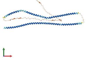 Protein Structure (PS) image for Beaded Filament Structural Protein 2, Phakinin (BFSP2) (AA 1-415) protein (His tag) (ABIN7552618)