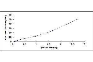 Typical standard curve (Asparagine Synthetase ELISA 试剂盒)