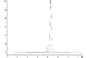 Size-exclusion chromatography-High Pressure Liquid Chromatography (SEC-HPLC) image for CD48 (CD48) (AA 27-220) protein (His tag) (ABIN7275618)