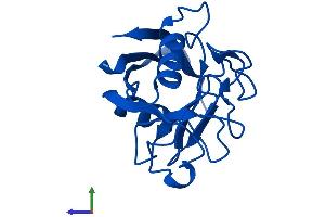 Protein Structure (PS) image for Peptidylprolyl Isomerase A (Cyclophilin A) (PPIA) (AA 1-164) protein (His tag) (ABIN7562919)