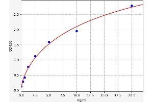 Typical standard curve (GARS ELISA 试剂盒)