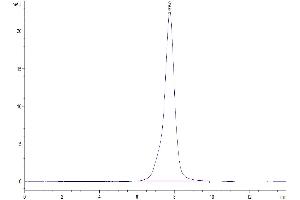 Size-exclusion chromatography-High Pressure Liquid Chromatography (SEC-HPLC) image for Osteoactivin (GPNMB) (AA 23-502) protein (His tag) (ABIN7274754)