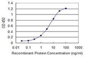 Detection limit for recombinant GST tagged ZBTB33 is 0. (ZBTB33 抗体  (AA 564-673))