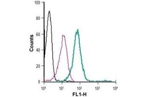 Flow Cytometry (FACS) image for anti-Potassium Inwardly-Rectifying Channel, Subfamily J, Member 2 (KCNJ2) (AA 112-125), (Extracellular) antibody (FITC) (ABIN7043482)