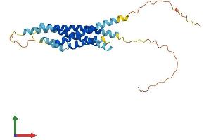 AlphaFold protein structure predicition of Human Recombinant MS4A6A Protein, UniprotID Q9H2W1