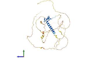 AlphaFold protein structure predicition of Mouse Recombinant Dmrt1 Protein, UniprotID Q9QZ59