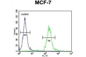 AVPI1 Antibody (N-term) flow cytometric analysis of MCF-7 cells (right histogram) compared to a negative control cell (left histogram).