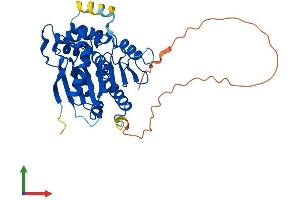 Protein Structure (PS) image for NDRG Family Member 4 (NDRG4) (AA 1-352) protein (His tag) (ABIN7549652)