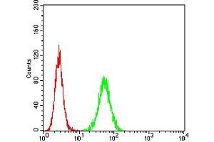 Flow cytometric analysis of Hela cells using HTR3A mouse mAb (green) and negative control (red). (Serotonin Receptor 3A 抗体  (AA 24-157))