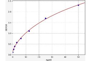 Typical standard curve (CADM3 ELISA 试剂盒)