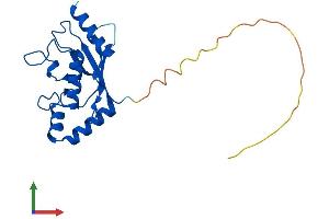 AlphaFold protein structure predicition of Human Recombinant UBE2T Protein, UniprotID Q9NPD8