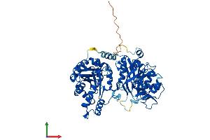 Protein Structure (PS) image for CTP Synthase II (CTPS2) (AA 1-586) protein (His tag) (ABIN7551125)