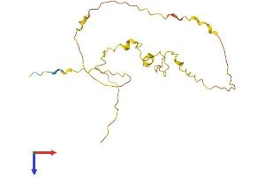 AlphaFold protein structure predicition of Mouse Recombinant Spata3 Protein, UniprotID Q9D9T6 (SPATA3 Protein (AA 1-193) (His tag))