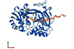Protein Structure (PS) image for Sphingosine Kinase 1 (SPHK1) (AA 1-384) protein (His tag) (ABIN7546271)
