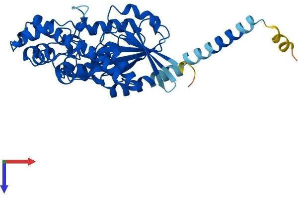 GNA11 Protein (AA 1-359) (His tag)