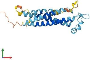 AlphaFold protein structure predicition of Human Recombinant TM4SF4 Protein, UniprotID P48230