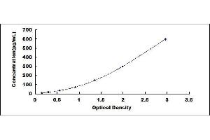 Fibroblast Growth Factor 19 (FGF19) ELISA Kit