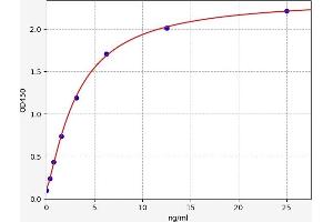 Chemokine (C-X3-C Motif) Ligand 1 (CX3CL1) ELISA Kit