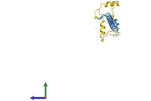 AlphaFold protein structure predicition of Mouse Recombinant Tsacc Protein, UniprotID Q9DA44