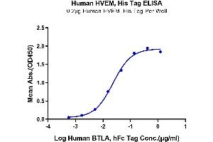 ELISA image for Tumor Necrosis Factor Receptor Superfamily, Member 14 (TNFRSF14) (AA 39-202) protein (His tag) (ABIN7274831)