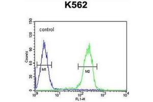 Flow cytometric analysis of K562 cells using RNF185 Antibody  (right histogram) compared to a negative control cell (left histogram). (RNF185 抗体  (Middle Region))