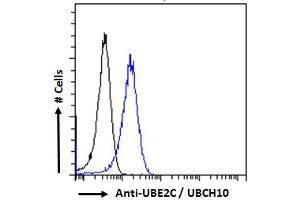 ABIN184805 Flow cytometric analysis of paraformaldehyde fixed HeLa cells (blue line), permeabilized with 0. (UBE2C 抗体  (C-Term))