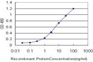 Detection limit for recombinant GST tagged KLK6 is approximately 0. (Kallikrein 6 抗体  (AA 91-190))